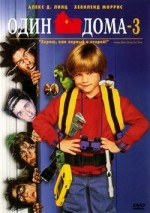    3, Home Alone 3