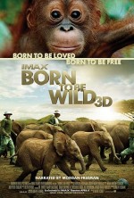    , Born to Be Wild