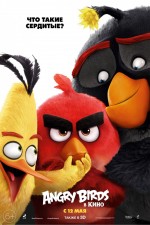  Angry Birds  , The Angry Birds Movie
