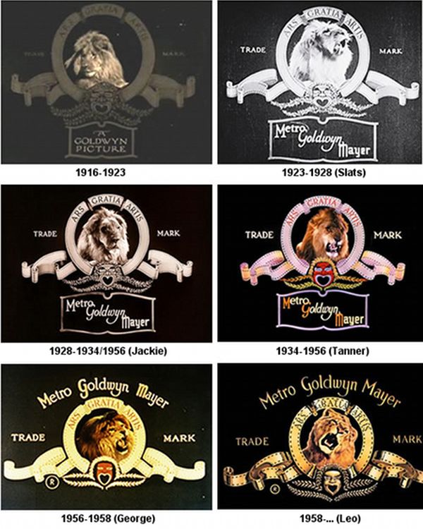  Metro Goldwyn Mayer    10   