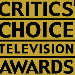   Critics' Choice TV Awards 2013 ( )