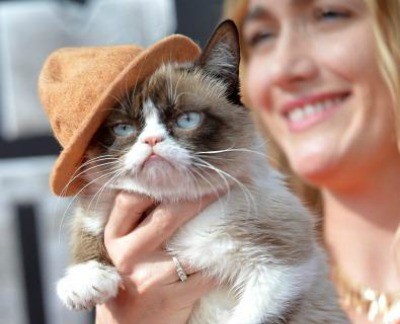 Grumpy Cat   