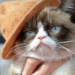 Grumpy Cat   