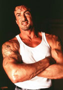 free sylvester stalone photo